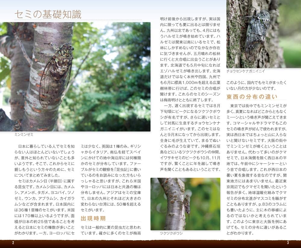 セミハンドブック | 税所康正 |本 | 通販 | Amazon